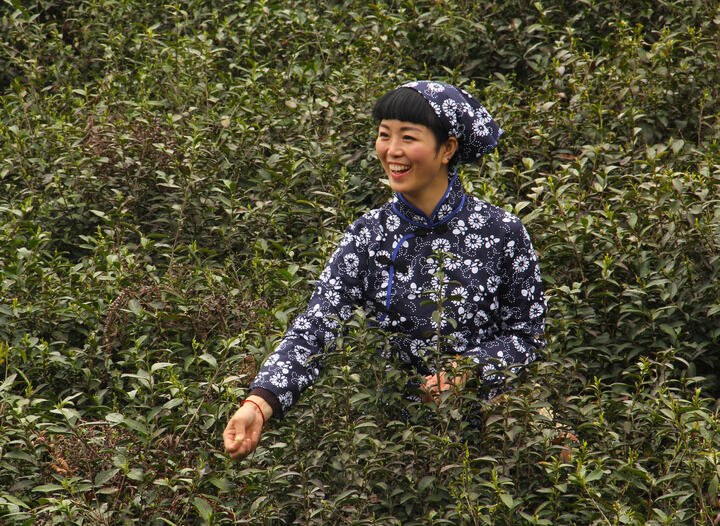 影片